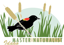 Master Naturalist Program