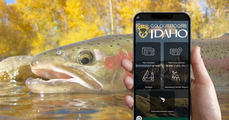 e-tagging salmon/steelhead mobile phone