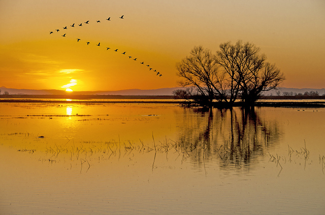 Sunset Formation by Steve Corey on flickr